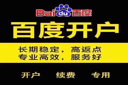 网络营销新篇章：竞价推广案例分析